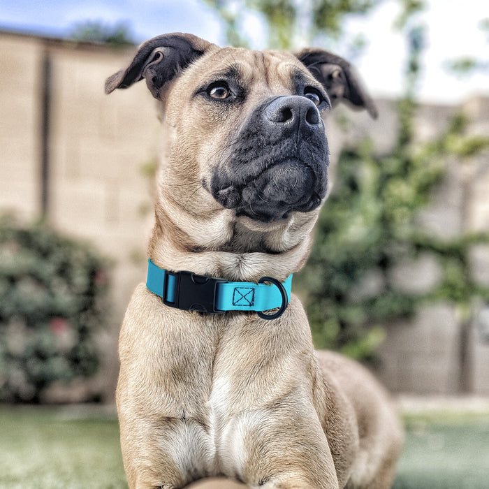 Dogline Biothane Waterproof Dog Collar with Quick Release Buckle