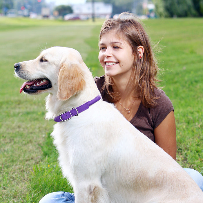 Soft Leather Round Dog Collar