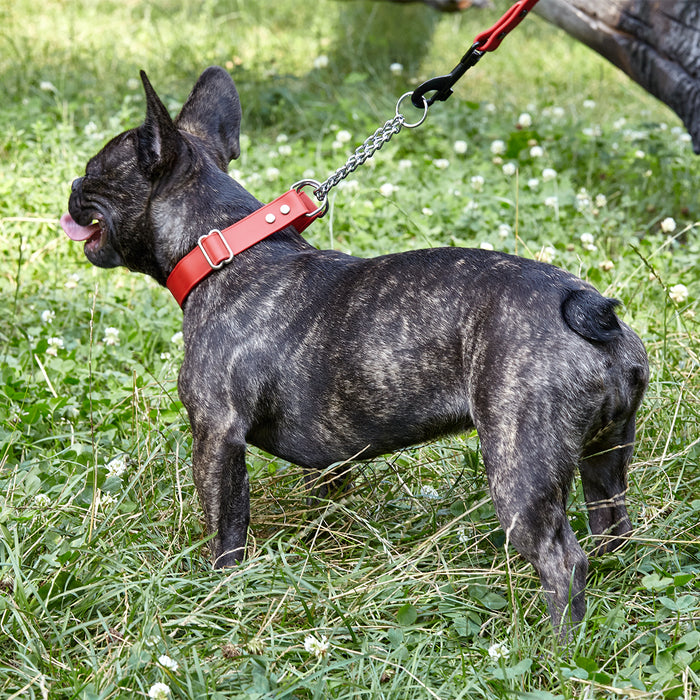 Biothane Adjustable Martingale Dog Collar