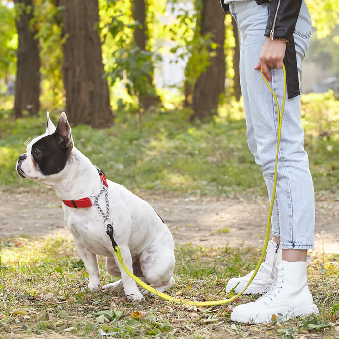 Biothane Waterproof Dog Leash 4 ft