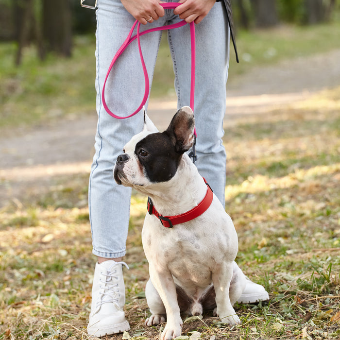 Biothane Waterproof Dog Leash 4 ft