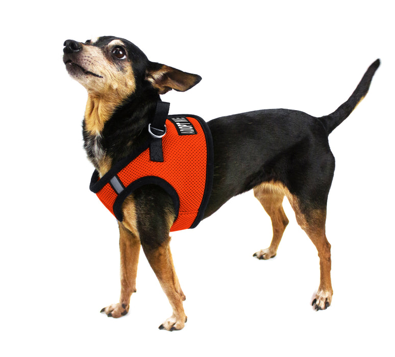 Removable Reflective Patches (Set of 2)