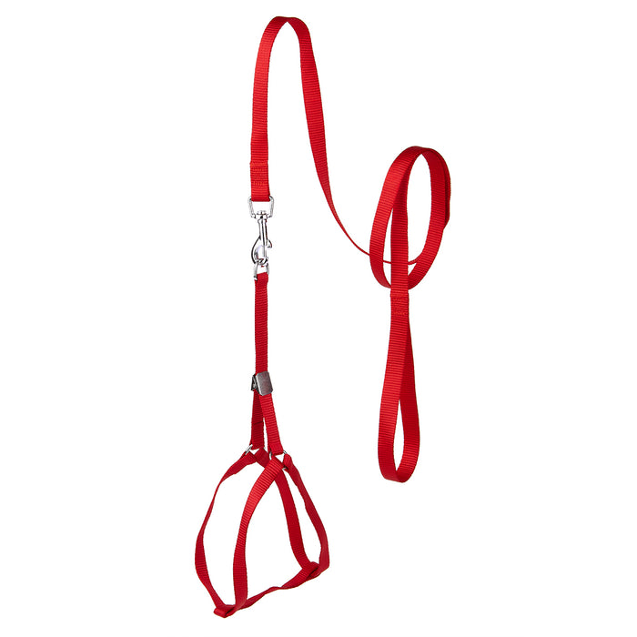 Red nylon step-in dog harness + nylon dog leash set