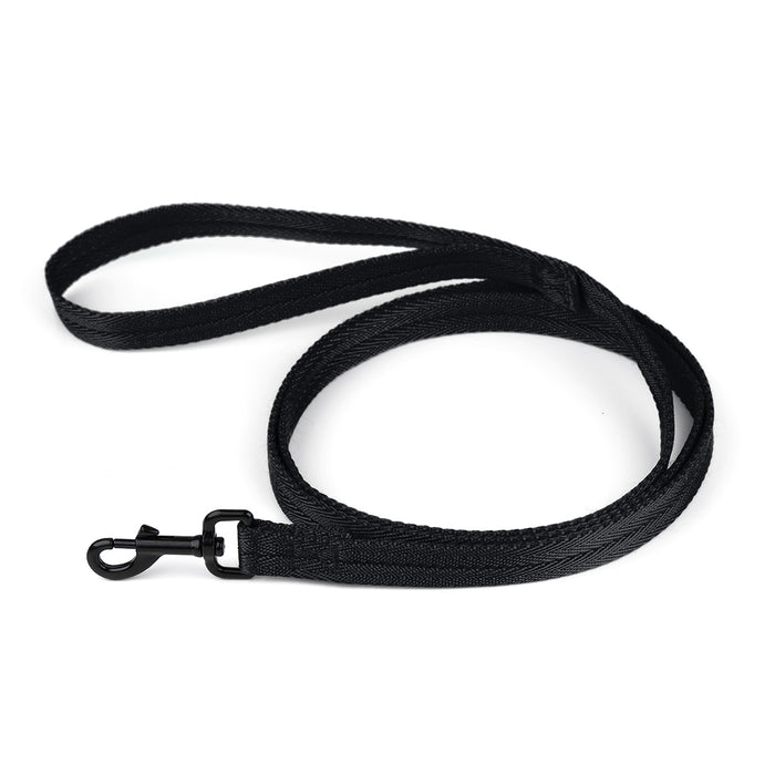 Black nylon dog leash with black snap hook