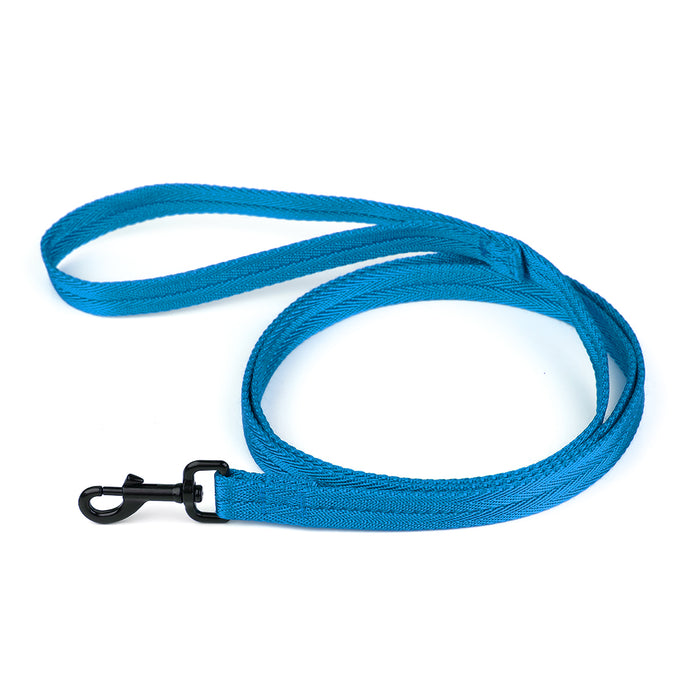 Blue nylon dog leash with black snap hook