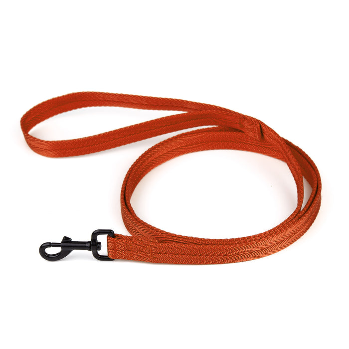 Orange nylon dog leash with black snap hook