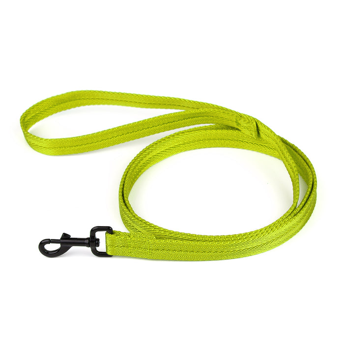 Lime green nylon dog leash with black snap hook