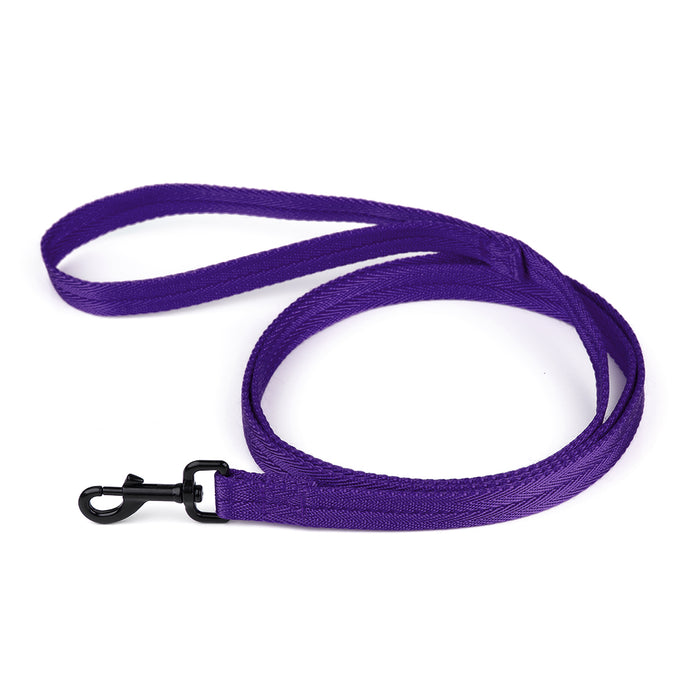 Purple nylon dog leash with black snap hook
