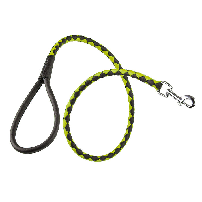 Soft Leather Dual-Color Braided Round Dog Lead