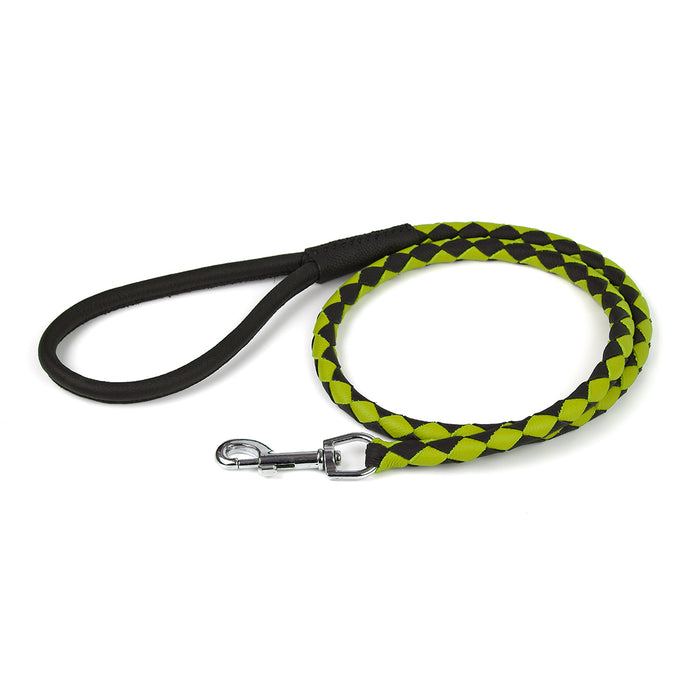 Black and green braided leather dog leash with metal snap hook