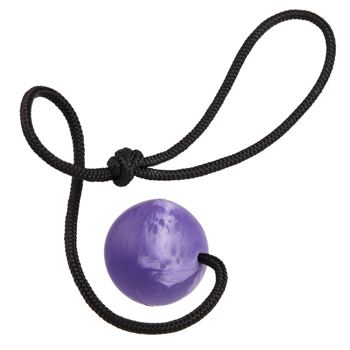 Purple rubber ball dog toy for chewers with nylon rope and vanilla scent