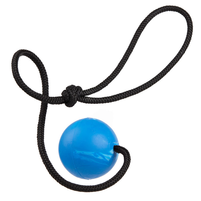 Blue rubber ball dog toy for chewers with nylon rope and vanilla scent