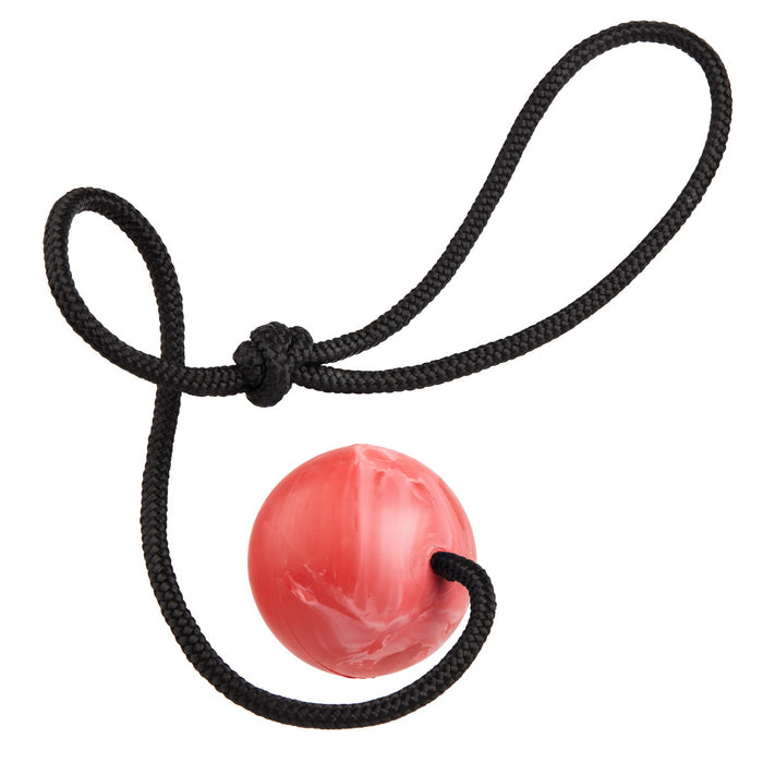 Red rubber ball dog toy for chewers with nylon rope and vanilla scent