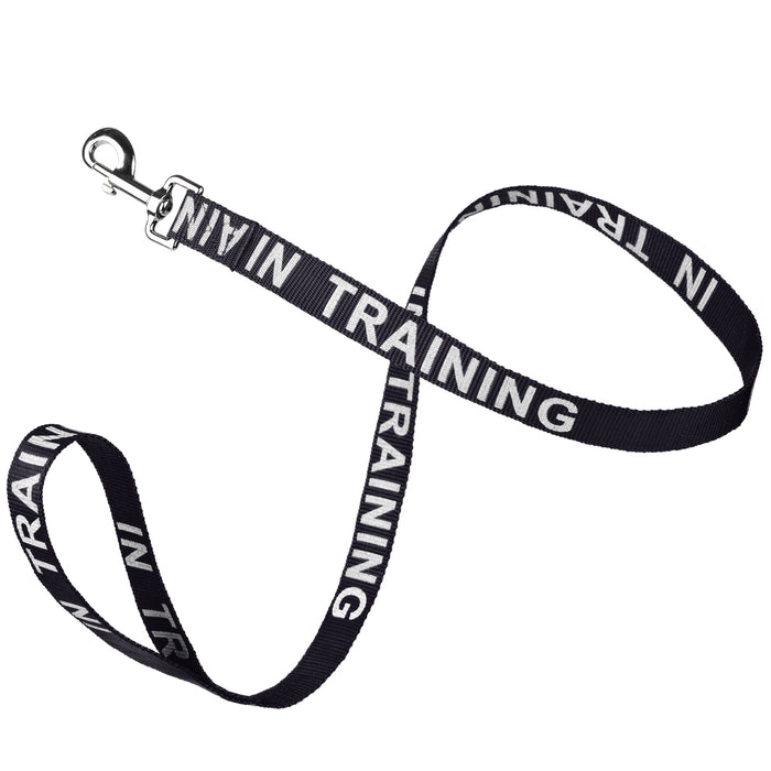 Black nylon dog leash with In Training reflective lettering