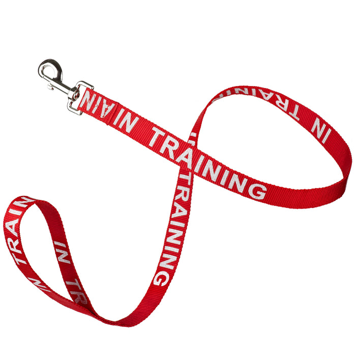 Red nylon dog leash with In Training reflective lettering
