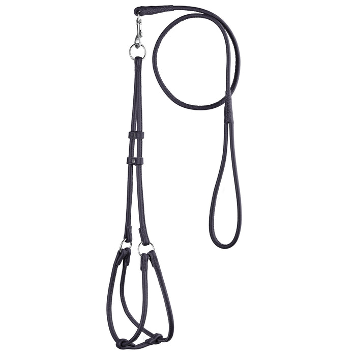 Black leather dog harness and dog leash combination