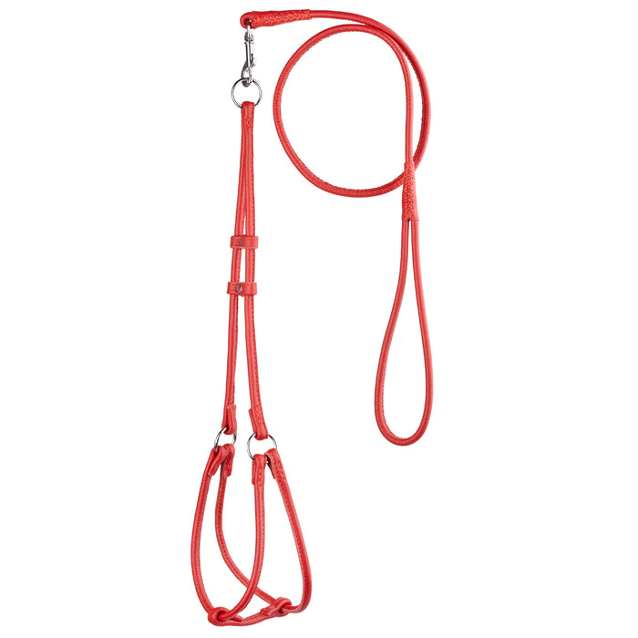 Red leather dog harness and dog leash combination