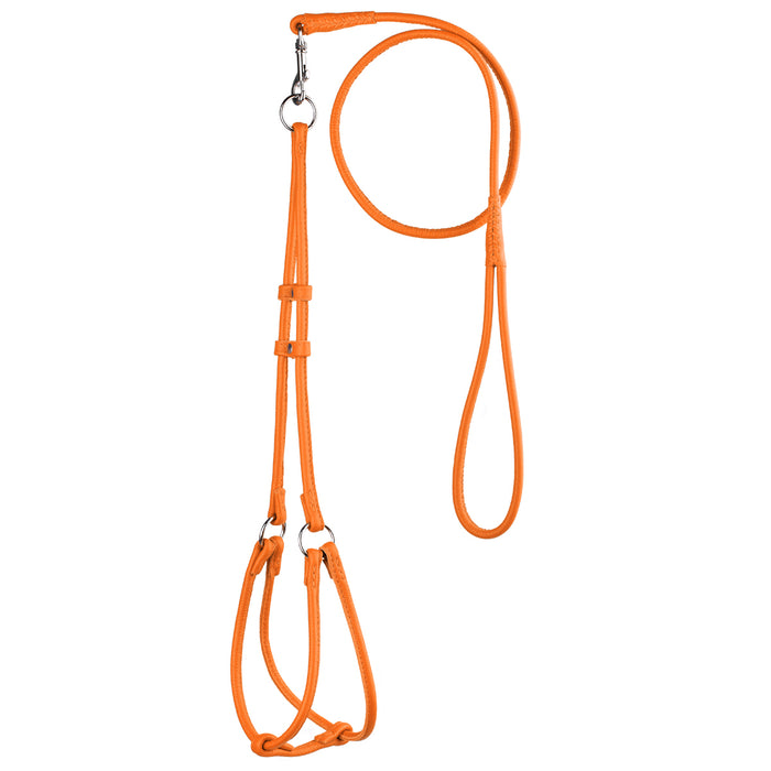 Orange leather dog harness and dog leash combination