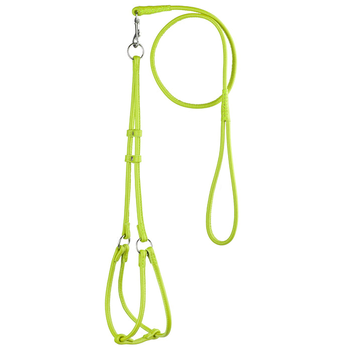 Lime green leather dog harness and dog leash combination