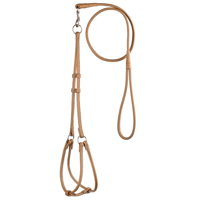 Brown leather dog harness and dog leash combination