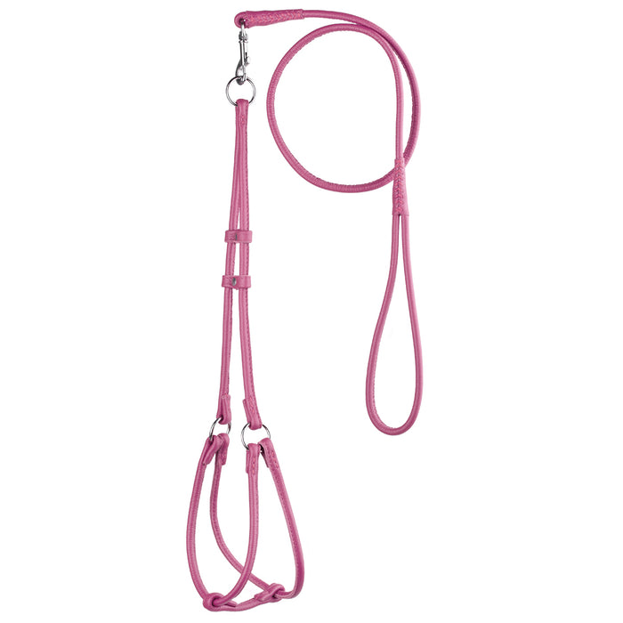 Pink leather dog harness and dog leash combination