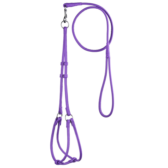 Purple leather dog harness and dog leash combination