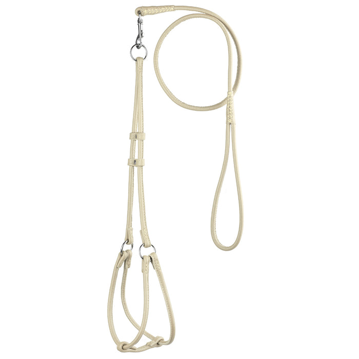 Beige leather dog harness and dog leash combination