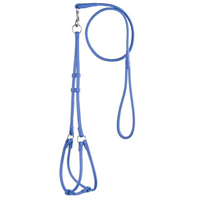 Blue leather dog harness and dog leash combination