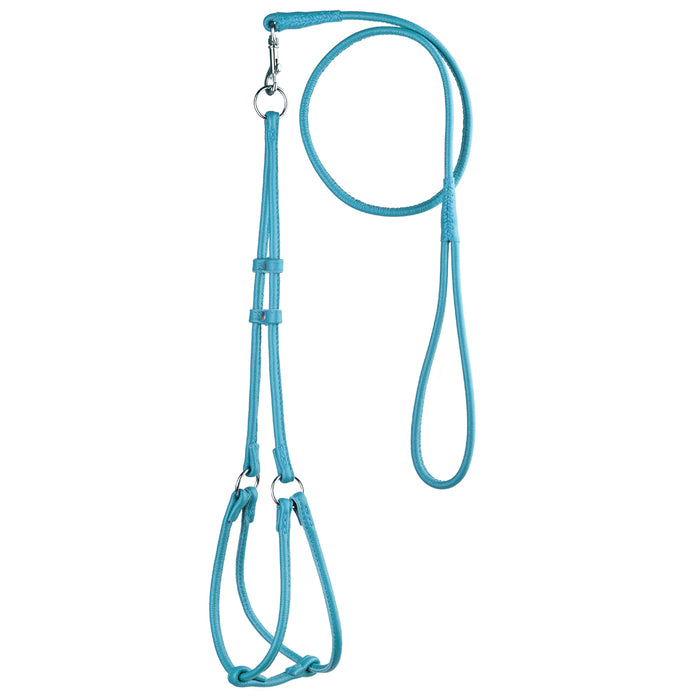 Teal leather dog harness and dog leash combination