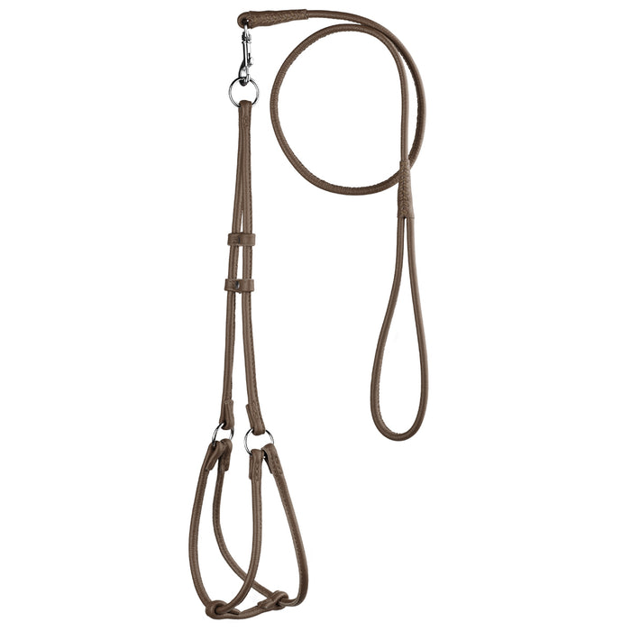 Dark brown leather dog harness and dog leash combination