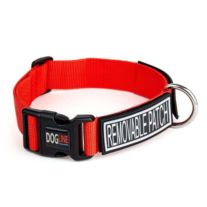 Red nylon dog collar with hook and loop fastener to attach patches, quick release buckle and metal D-ring