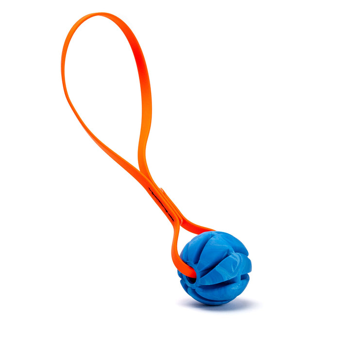 Great dog ball toy for beach