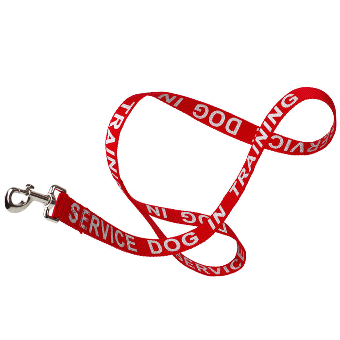 Red nylon dog leash with Service Dog In Training reflective lettering