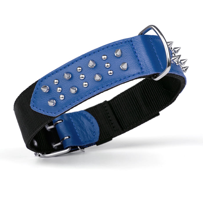 Black and blue nylon and leather dog collar with spikes