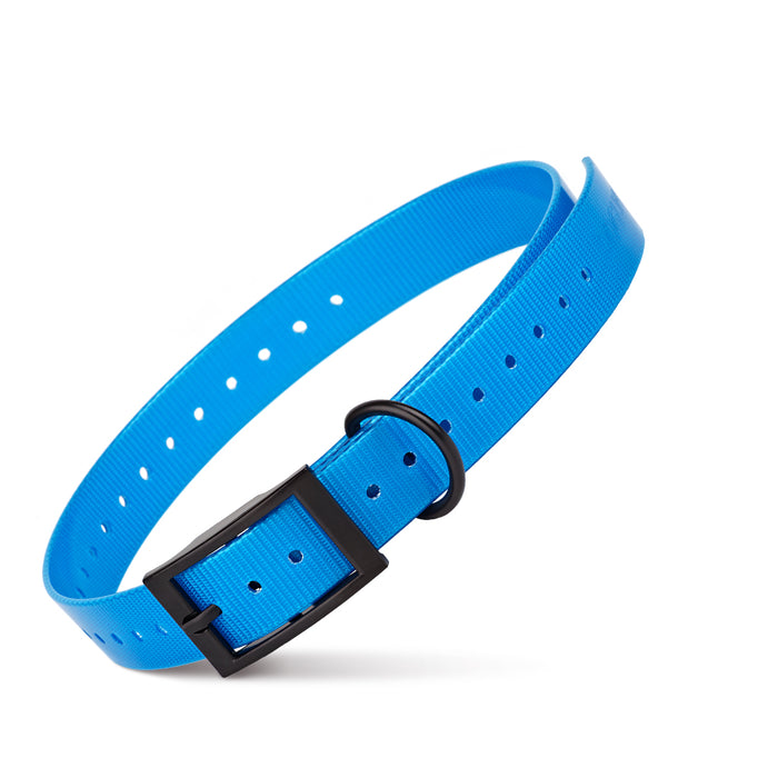 Biothane E-Collar Replacement Strap, blue color