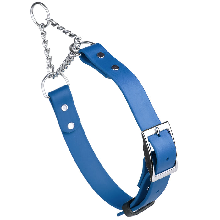 Cerulean Blue adjustable martingale dog collar with buckle and Herm Sprenger assembly chain, made from waterproof Biothane