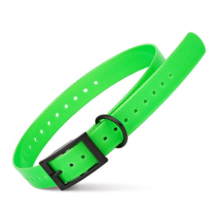 Biothane E-Collar Replacement Strap, green color