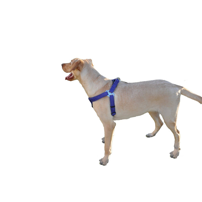 Comfort Microfiber Flat Dog Step-In Harness