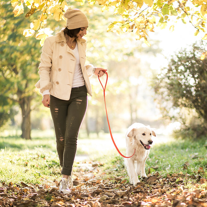Viper Long Line 10 ft Biothane Dog Lead