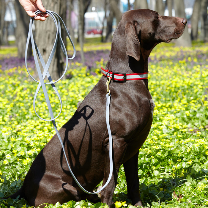 Viper Biothane Working Dog Lead, 4 Feet Long