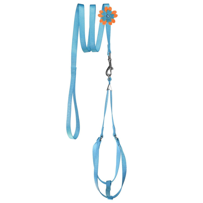 Blue nylon step-in dog harness + nylon dog leash set, and optional flower decoration