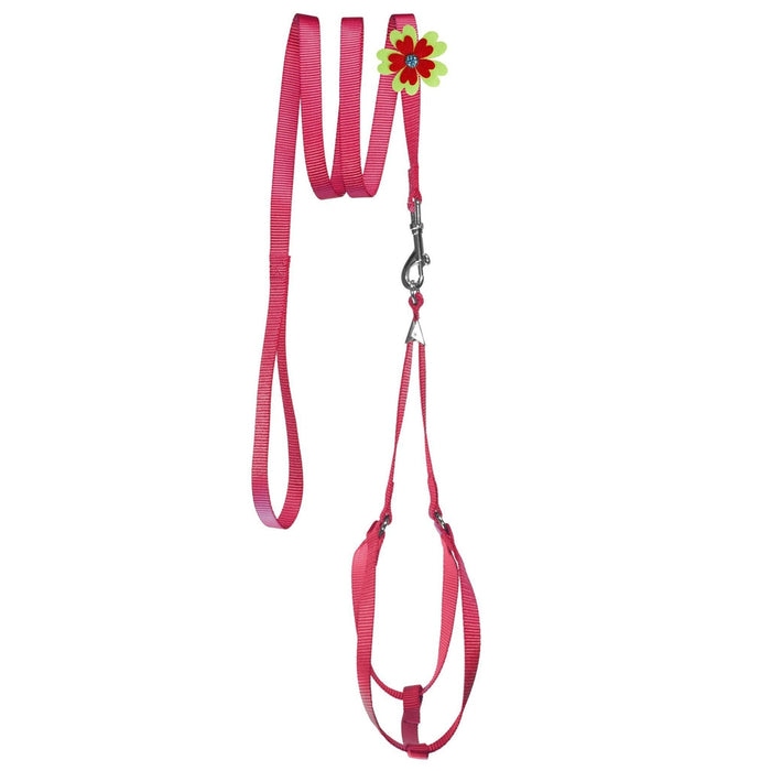 Red nylon step-in dog harness + nylon dog leash set, and optional flower decoration