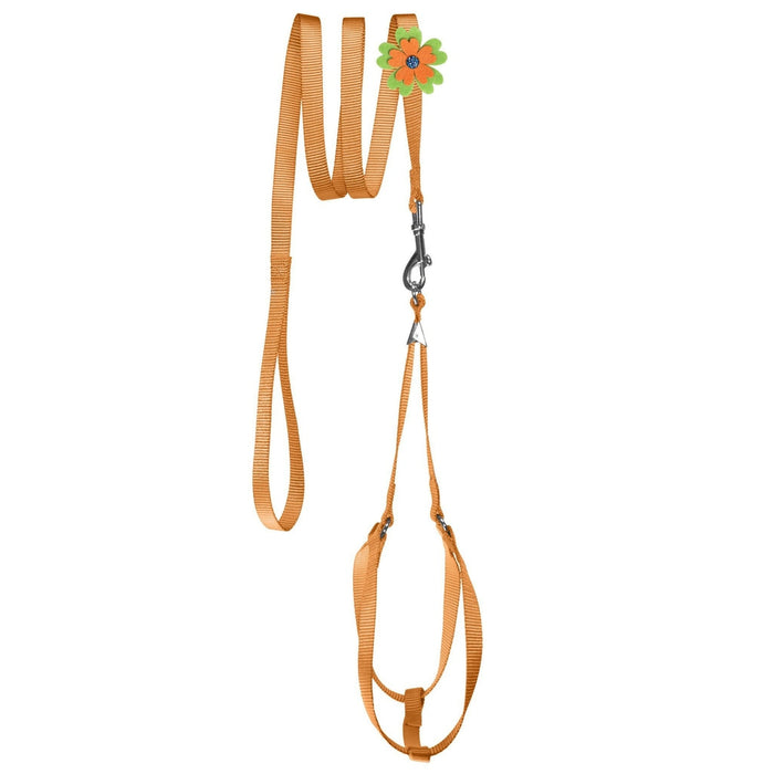 Orange nylon step-in dog harness + nylon dog leash set, and optional flower decoration