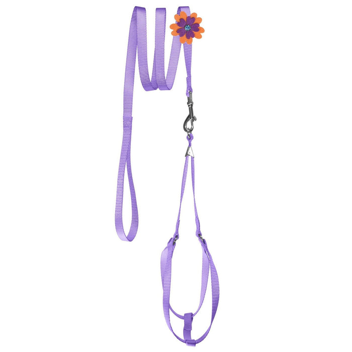 Purple nylon step-in dog harness + nylon dog leash set, and optional flower decoration