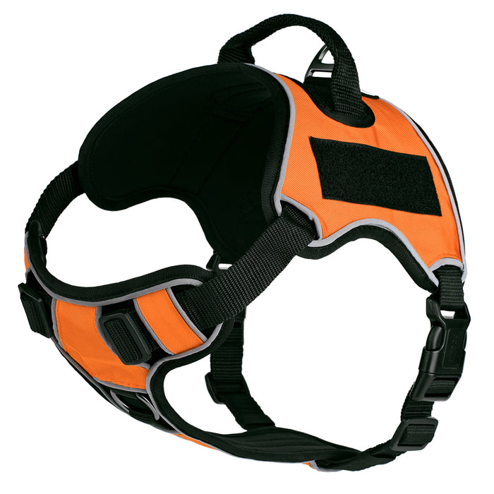 Orange dog harness made from neoprene, with top handle and two hook and loop fasteners; adjustable straps