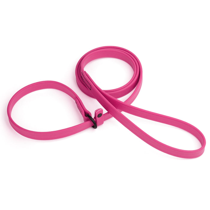 Biothane Dog Slip Lead