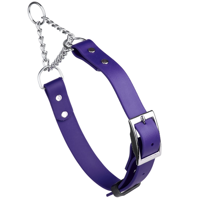 Violet Purple adjustable martingale dog collar with buckle and Herm Sprenger assembly chain, made from waterproof Biothane