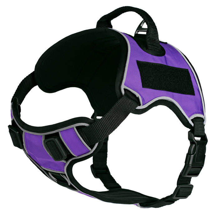 Purple dog harness made from neoprene, with top handle and two hook and loop fasteners; adjustable straps