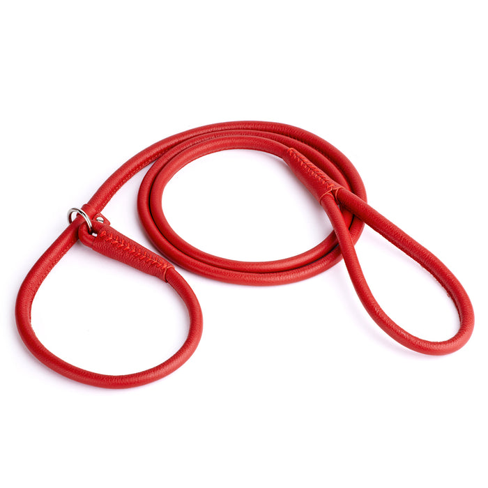 Red leather dog slip lead