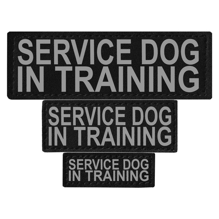 Service Dog in Training reflective patch, 3 sizes to choose from